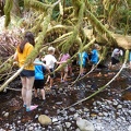 Exploring the Creek