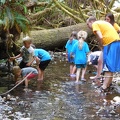 Exploring the Creek