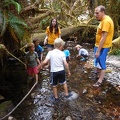 Exploring the Creek