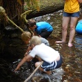 Exploring the Creek