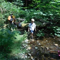 Exploring the Creek