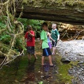 Exploring the Creek