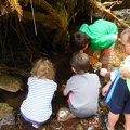 Exploring the Creek