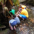 Exploring the Creek