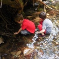 Exploring the Creek