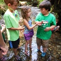 Exploring the Creek