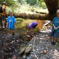 Exploring the Creek