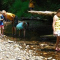 Exploring the Creek