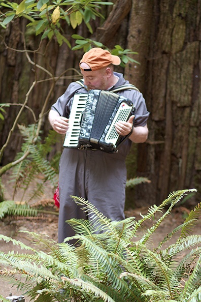 Accordian.jpg