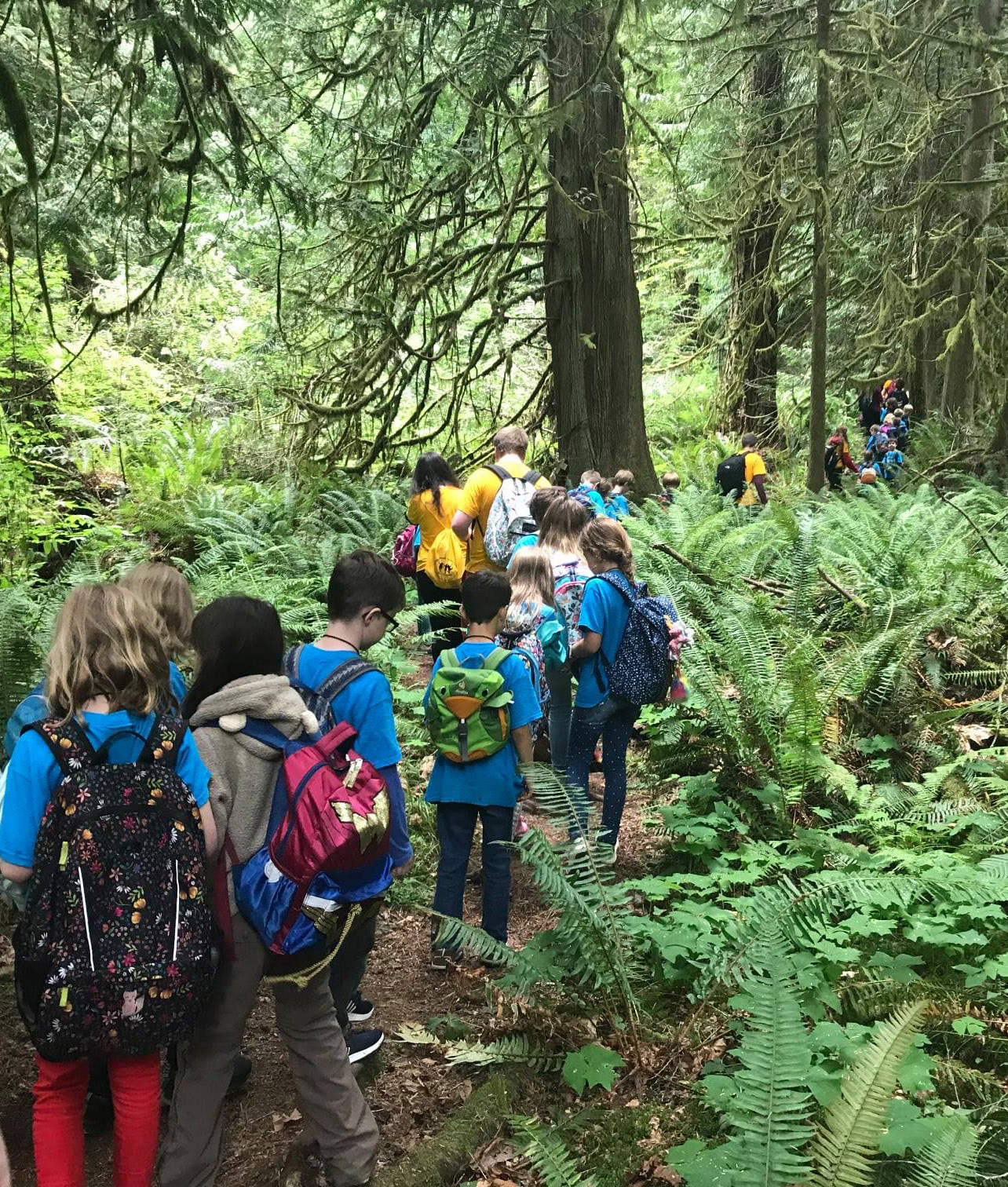 Campers on Big Tree Trail