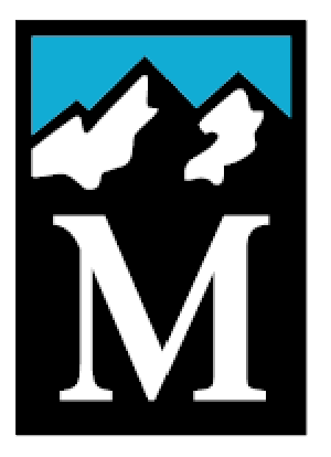 M Logo